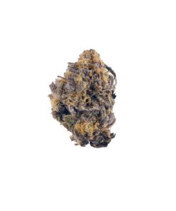  Super 24 | Purple