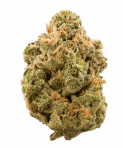  Super 24 | Skywalker