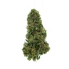 La Canapa Legale | Sour Widow CBD
