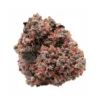  Super 24 | Strawberry