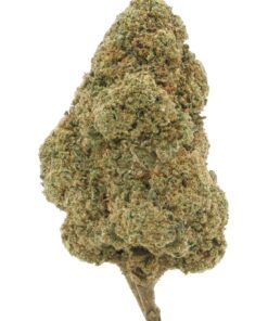 Sensimilla | Super Silver Haze