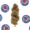 La Canapa Legale | Watermelon CBD
