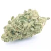 Sensimilla | White Widow