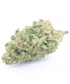 Sensimilla | White Widow