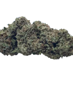 Clorofilla | Lemon Haze – Cannabis Light Legale