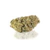 Canapa Light Blue | Tutti Frutti CBD – Indoor