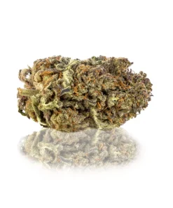 Canapa Light Blue | Skunk CBD Indoor