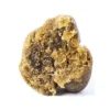 Gold CBD | Bengala CHARAS