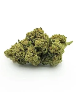 Gold CBD | Bubblegum