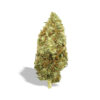 Trincia Hemp | Amnesia Haze CBD