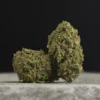 La Canapa Legale | Blueberry Melon CBD Small Buds
