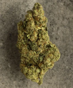 La Canapa Legale | Amnesia Haze CBD Indoor