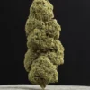 La Canapa Legale | Tangerine Dream CBD