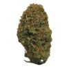 LegalWeed | Goa Shanti