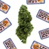 La Canapa Legale | Hazelnut CBD