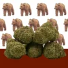 Mama Kana | L.A Cali CBD 🐻