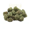 Radici Farm Shop | Mini Buds Gelato Cookie - Cannabis Light