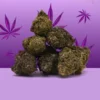 Mama Kana | Purple Haze CBD 🔮