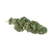 Clorofilla | Super Lemon – Cannabis Light Legale