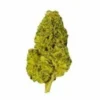 Gold CBD | Super Skunk