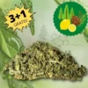 Seven Hemp | Trinciato Mix Buds