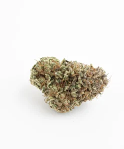 Canapa Light Blue | Amnesia CBD Indoor