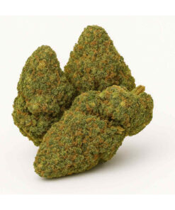 xxxJoint | Bubblegum