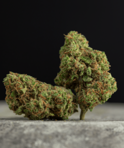 La Canapa Legale | Bubble Gum CBD Small Buds