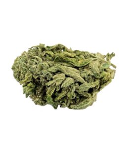Flower Farm | Critical Lemon