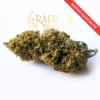 Radici Farm Shop | Strawberry Banana - Cannabis Light