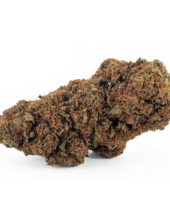 xxxJoint | Gorilla Kush