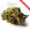 Radici Farm Shop | Lemon Haze - Cannabis Light