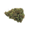 Flower Farm | Orange bud