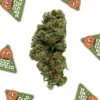 La Canapa Legale | Orange CBD