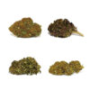 Mister Canapa | Kit Rock
