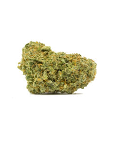 Flower Farm | Pineapple