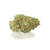 Canapa Light Blue | Purple CBD – Indoor