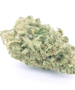 Gold CBD | White Widow