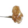 Canapiemonte | CBD Wax Estratti