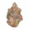 Napabuds | White Rhino Δ⁹-THC