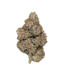 Stonies | Purple Punch THCA Flower 32.30%