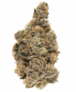 Stonies | Blueberry Muffin Exotic THCA Flower 27.52%