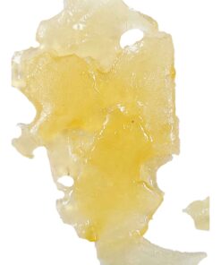 BulkBuddy | Sugar Cookies Shatter Hash | Δ⁹ THC