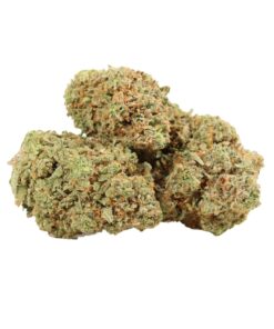 BulkBuddy | Animal Cookies Δ⁹ THC