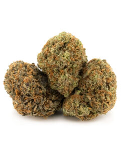 Pacific Grass | Afghani Δ⁹-THC