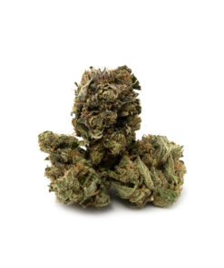 Pacific Grass | Goudaberry – Smalls | Δ⁹ THC
