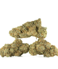 Green Society | Amnesia Haze Δ⁹ THC