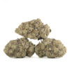 Green Society | Black Cherry Pie Δ⁹ THC