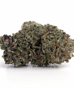 Herb Approach | Grape God Δ⁹ THC