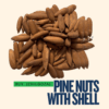 Kashmir Online Store | Pine Nuts With Shell
